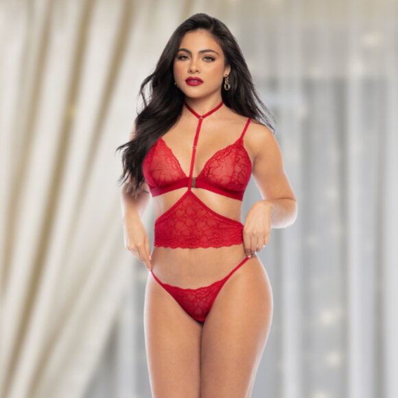 NWT Red Heart Lace Top, Harness & Thong Lingerie